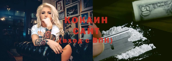 ешки Арсеньев