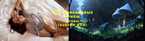 ешки Арсеньев