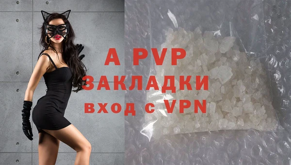 ешки Арсеньев
