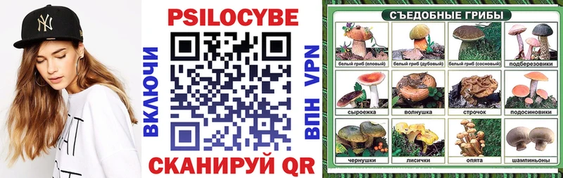 купить наркоту  Светогорск  Псилоцибиновые грибы Cubensis 