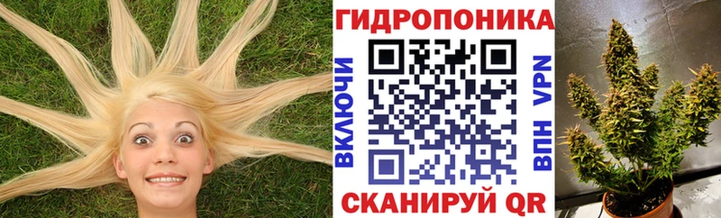 KRAKEN зеркало  Светогорск  Марихуана план  даркнет сайт 